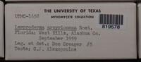 Image Associated With the Occurence
